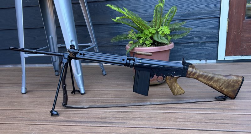 Thoughts on a BGS? | The FAL Files